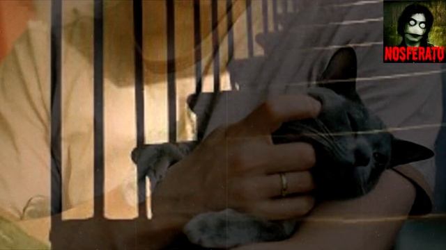 Нюга. Страшные истории на ночь 🫣🫣🫣 смотреть онлайн