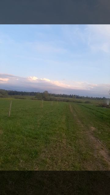 Природа .mp4 смотреть онлайн