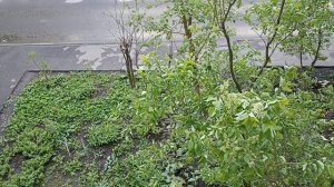 3 мая суббота