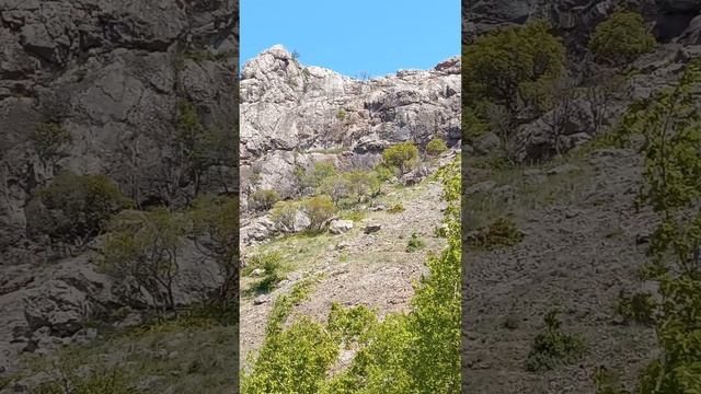 Лучше гор могут быть только горы! Крымское Зеленогорье смотреть онлайн