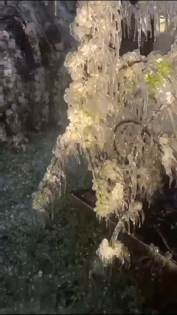 Майский сюрприз ❄ смотреть онлайн