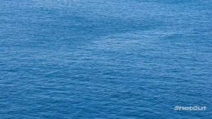 НОСТАЛЬГИЯ С САМОГО УТРА