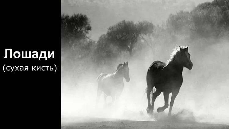 Лошади. Сухая кисть смотреть онлайн