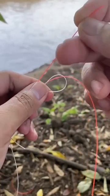 Идеальный узел для шок лидера смотреть онлайн