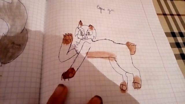 Коты воители рисунки смотреть онлайн
