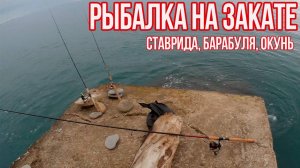 Рыбалка на закате