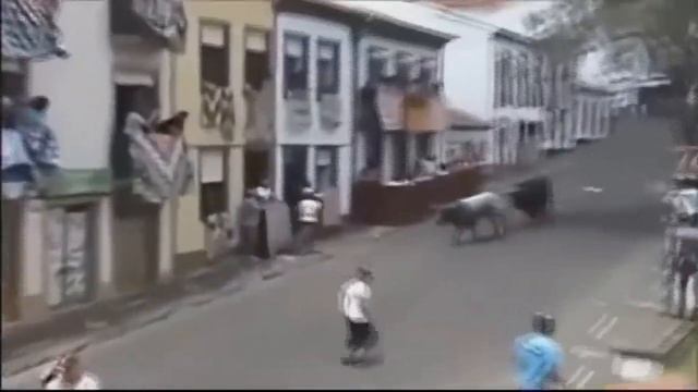 Быки захватывают город Приколы 2019 смотреть онлайн
