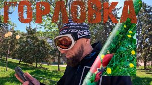 ГОРЛОВКА....ОТЦВЕЛИ ТЮЛЬПАНЫ.  03.05.2025.