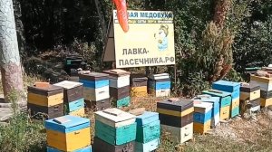 ГОРЯЧИЙ КЛЮЧ. ЛАВКА ПАСЕЧНИКА