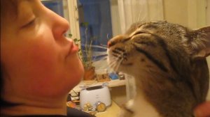 Моя Юля Локшина и кот Беня!