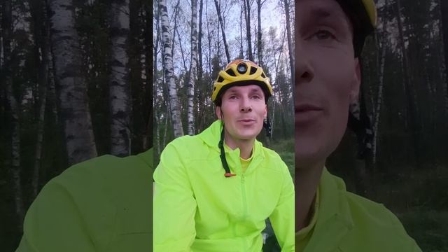 Гибрид роликов и лыжероллеров