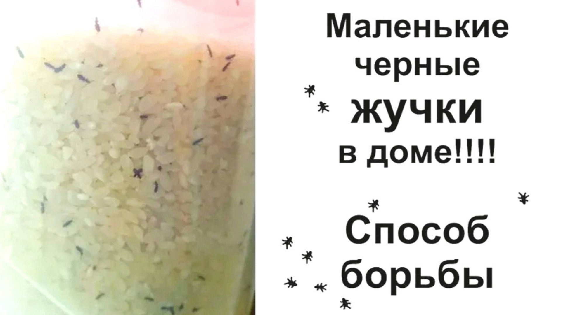 РАДУГА РЕЦЕПТОВ 🌈