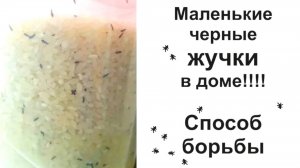 ЖУЧКИ В КРУПЕ как избавиться от вредителей