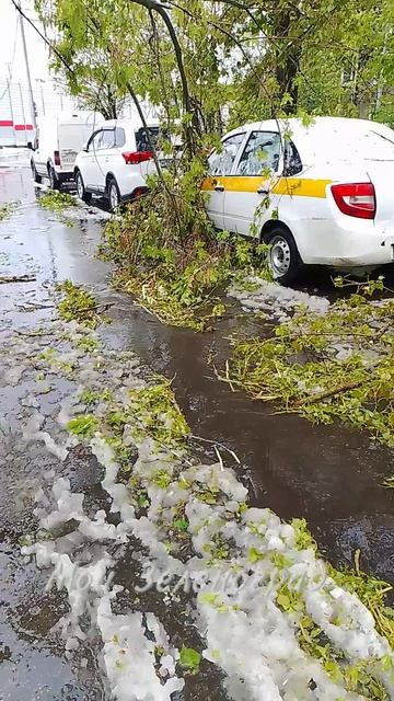 Утро 2 мая в Зеленограде после ночного урагана с мокрым снегом смотреть онлайн