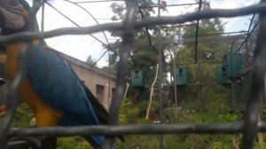 Едем в Крым с детьми на море. Парк львов Тайган. Из Чувашии на машине на море