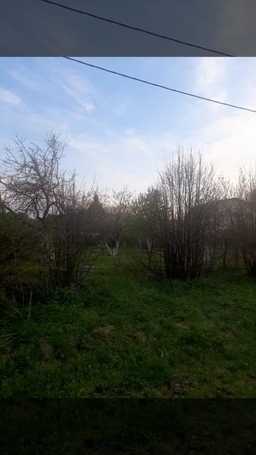 Весенний сад.mp4 смотреть онлайн