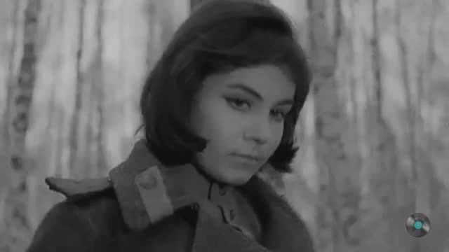 В лесу прифронтовом. Лучшие песни о Великой Отечественной войне