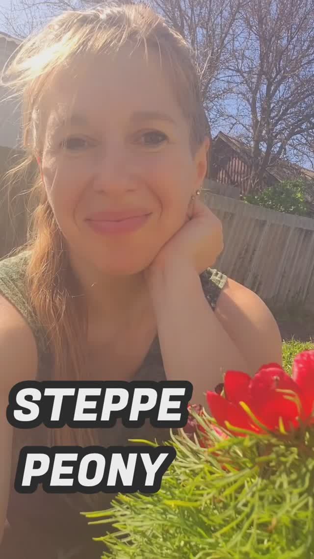 ❤️А в Англии этого нет!😁 смотреть онлайн