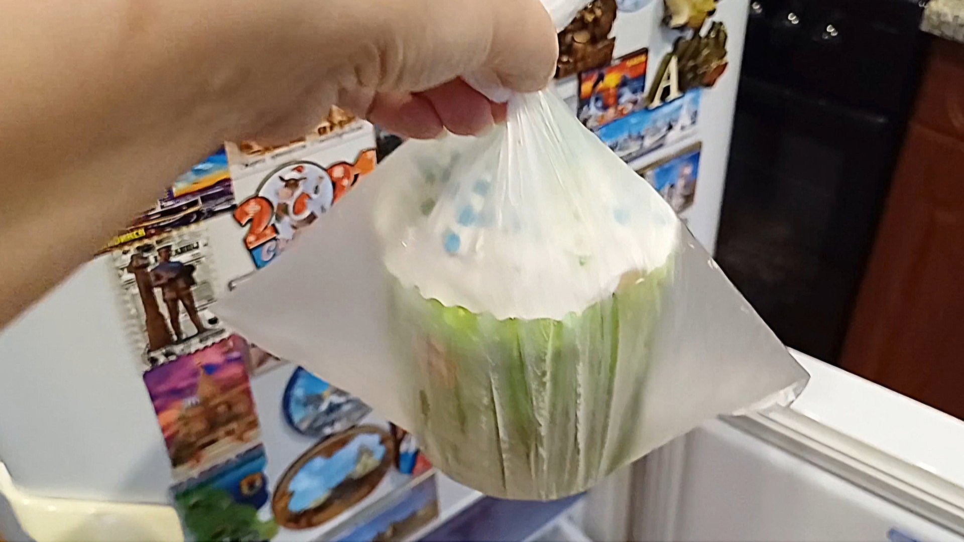 Разморозили,что получилось/Кажется погибает/Всё замерло смотреть онлайн