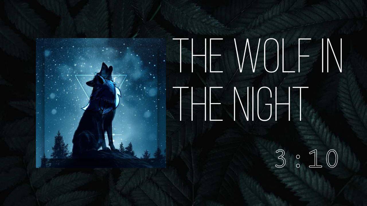 ❺ ▷ The Wolf In The Night