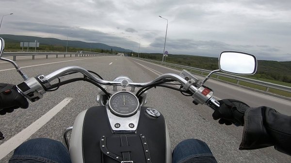 Свобода // Freedom