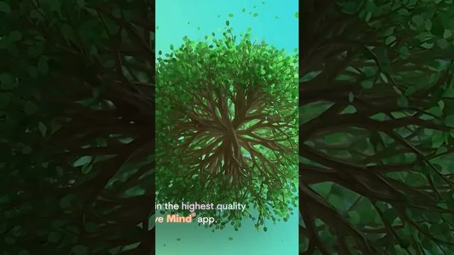 444 Hz Активируйте Сердечную Чакру Частота Духовного Исцеления смотреть онлайн