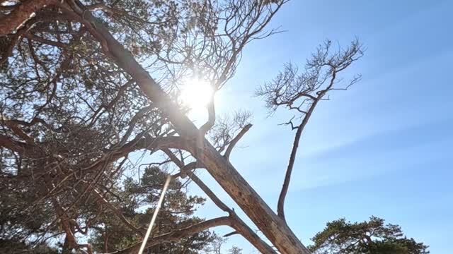 Майское настроение на берегу Белого моря