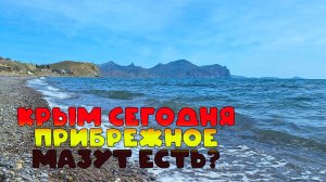 Пляжи Прибрежное: актуальная информация и прогнозы на лето 2025