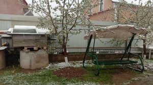 Сюрприз природы, в мае.