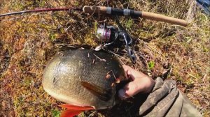 Озеро монстров. Огромные окуни на спиннинг