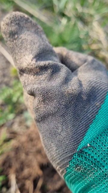 Находки на старом фундаменте. Эховойны. ##металлокоп, #местные,