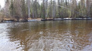 Делили хариуса, таймень проиграл))))