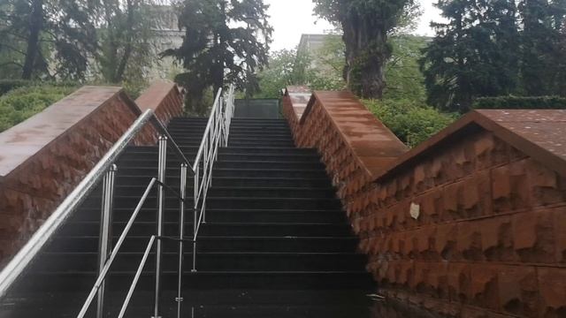 Влад Бородин представляет Саратов