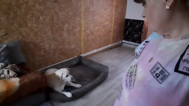 Дождь в деревне и ты сразу лентяй , так и поправится можно от безделья смотреть онлайн