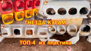 Гнезда курам ТОП-4 варианта из пластика понравились несушкам
