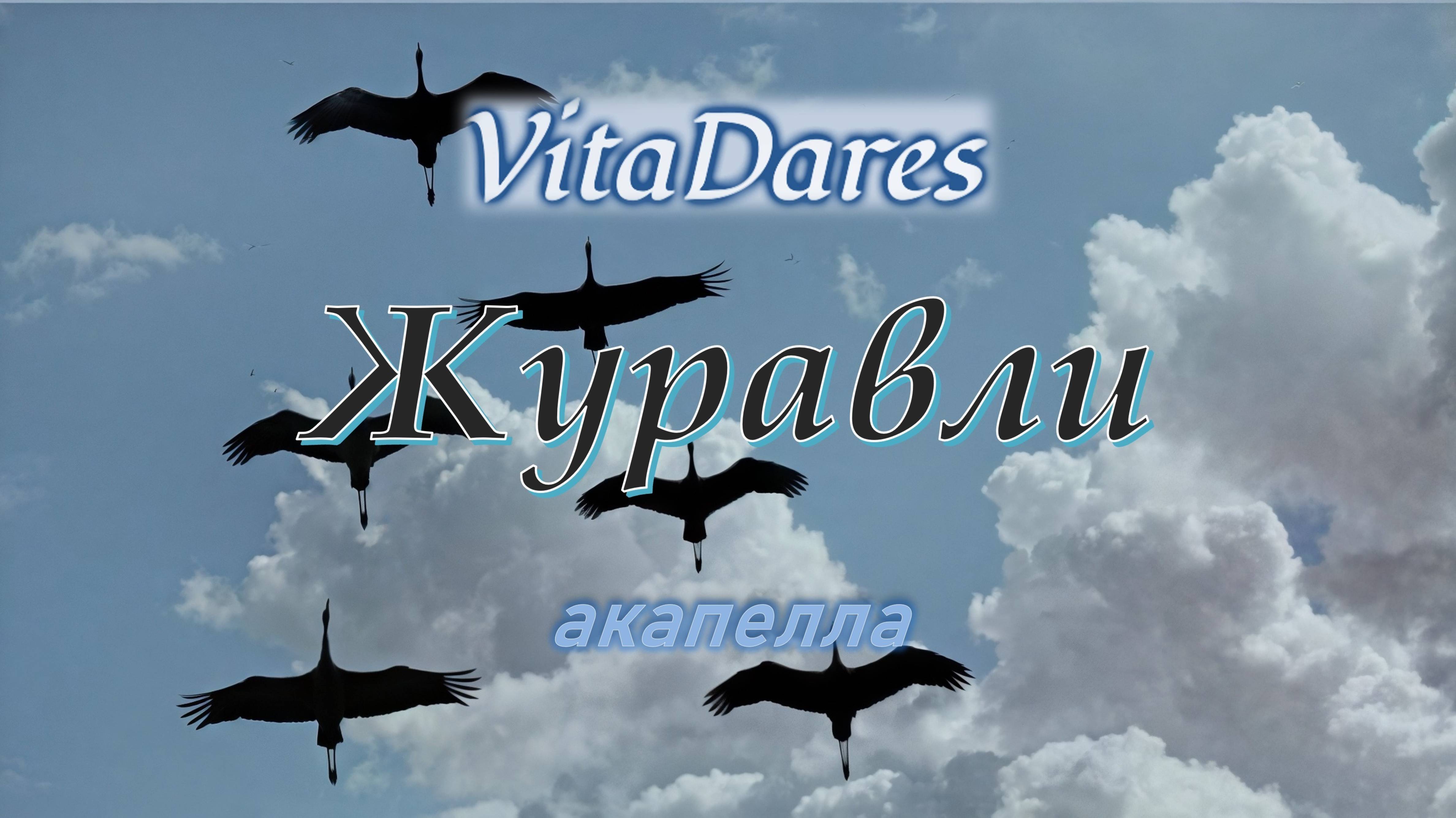 Журавли (a capella by VitaDares)