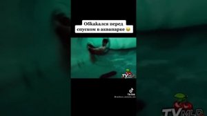 Обкакался перед спуском в аквапарке