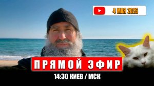 Прямой эфир 4 мая 2025
