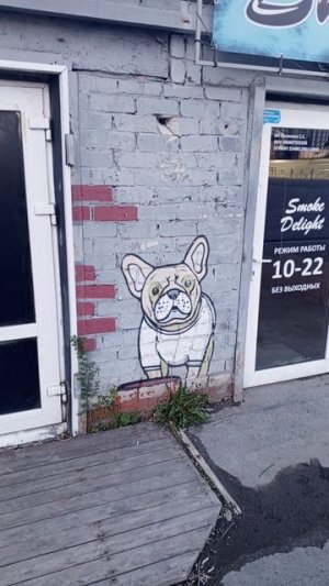 #dogs #art #street