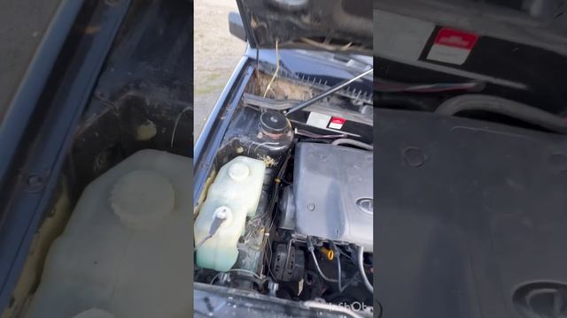 video-output-DF64724B-3241-4375-AC95-2AB3CD59AE6C-1 смотреть онлайн