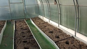 4 мая Утренний дачный обход.