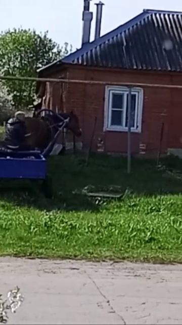 Село Исады🏠 смотреть онлайн