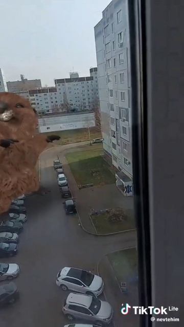 Курба смотреть онлайн