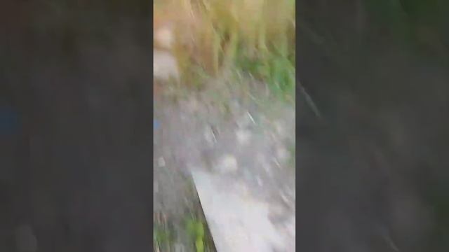 2ч на береге