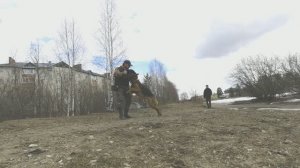 Прерванная атака