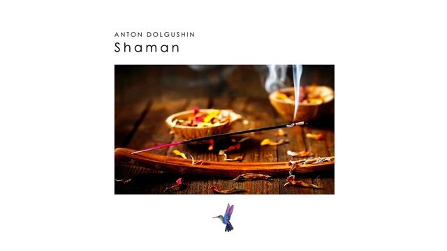 Anton Dolgushin - Shaman
