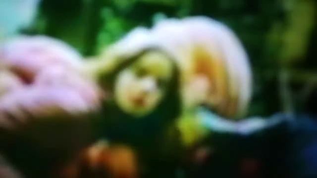 Реклама фильма Гарри Поттер и узник Азкабана 2004 смотреть онлайн