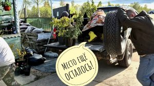 Распаковка садового центра в Синичино. Меня пустили попастись среди горшков с ёлками и палками