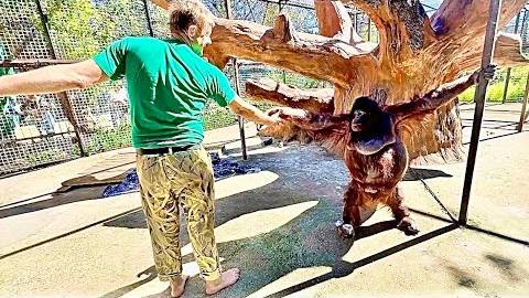 Без СМЕХА смотреть не возможно, Дана ОТОБРАЛА у Влада соску и Олег Зубков пришел на помощь) смотреть онлайн