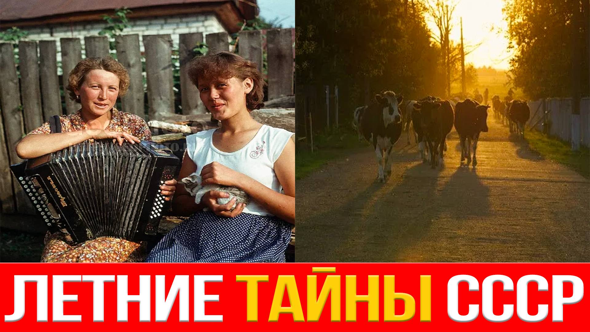 Летние вечера в СССР, которые не вернуть